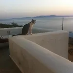 House In Tinos Island * Kardhianí